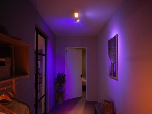HueWhite and ColorAmbiance Plafonnier Centris 2spots