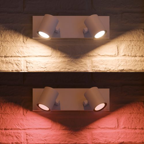 Hue White and Colour Ambiance Argenta double spotlight