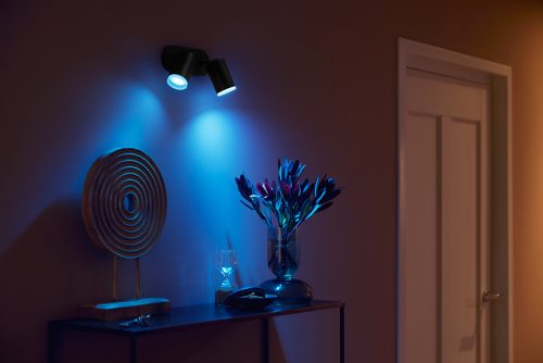 Black dual spotlight fixture mounted on wall above console table, casting blue light onto decorative objects and nearby flowers.