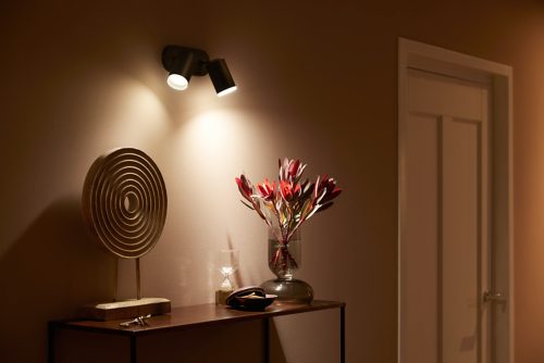 Black spiral plate wall spotlight fixture mounted above a console table, illuminating decorative items and a vase with flowers.