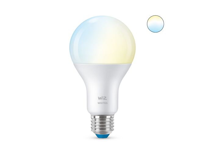 main.alt.text.RTP.LED-lamp Lamp A67 E27