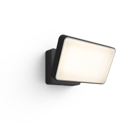 main.alt.text.RTP.Hue White Welcome Outdoor Floodlight
