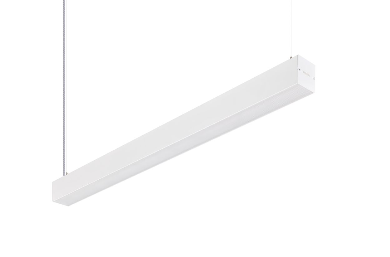 The flexible light line