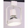 PAR-38 Ring White