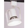 PAR-30  Ring Front Relamp Black