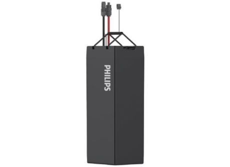 ZJS602 60Ah 12.8V Battery IN