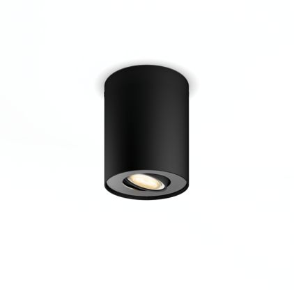 German:An image of product of the Pillar Einerspot erw.