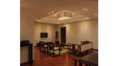 myLiving Ceiling light