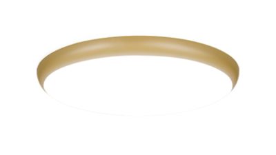 myBathroom IP44 Ceiling Light
