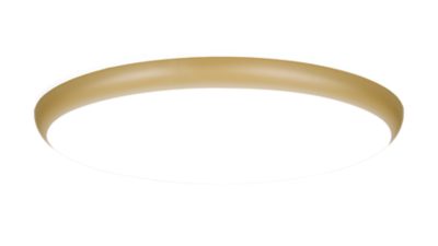 myBathroom IP44 Ceiling Light