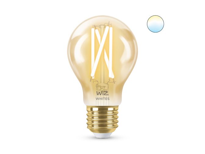 main.alt.text.RTP.Filamentlamp gouden coating 50 W A60 E27