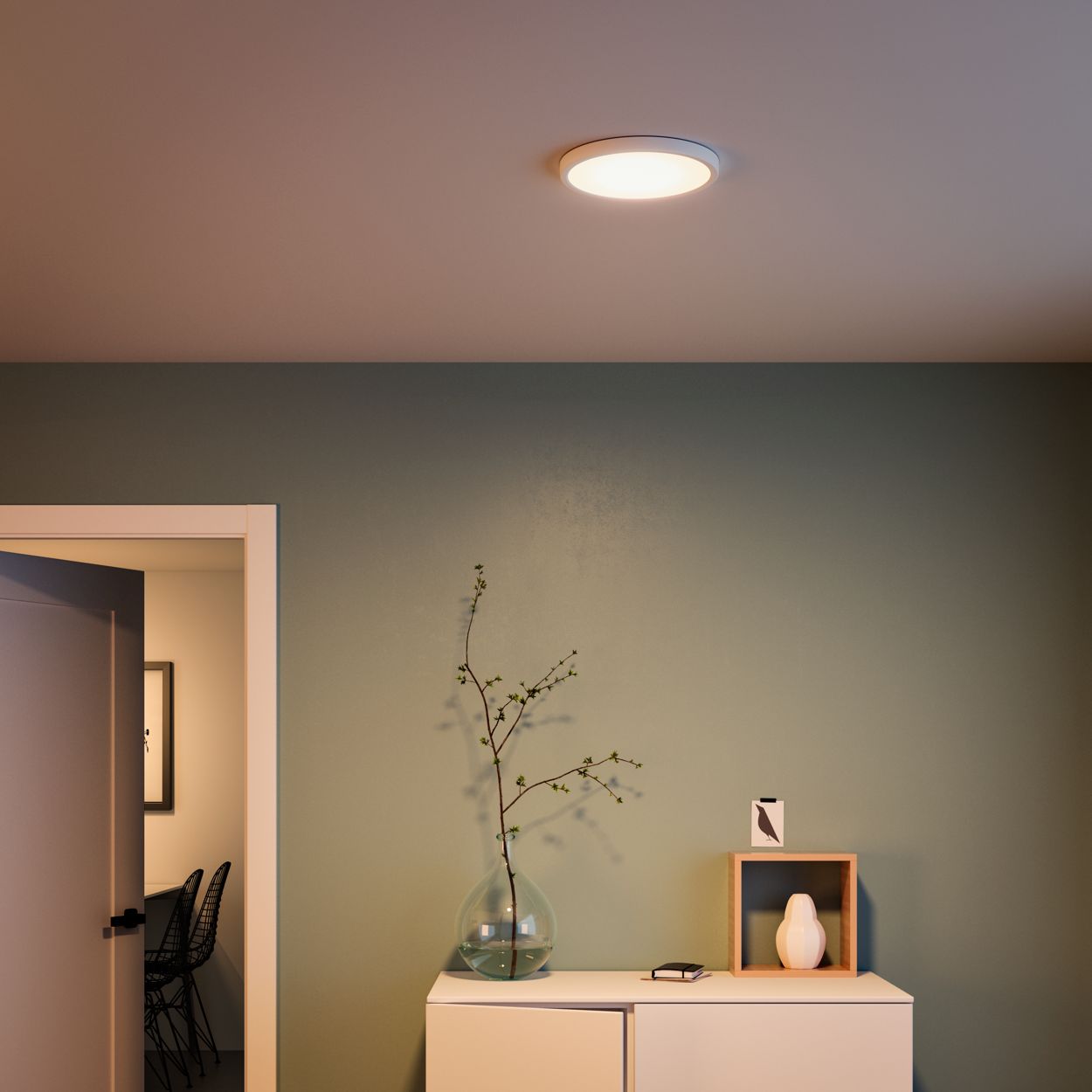 spejder Comorama Email Functional Ceiling light 046677582876 | Philips