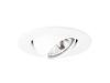 4002 Eyeball 30° Tilt, Self-flange