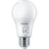LED Bulb