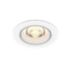 Funktionell Downlight