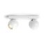 Hue White ambiance Buckram 雙件式聚光燈
