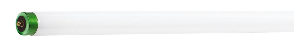 Long Life, Environmentally-Responsible Lamps