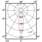 Light Distribution Diagram