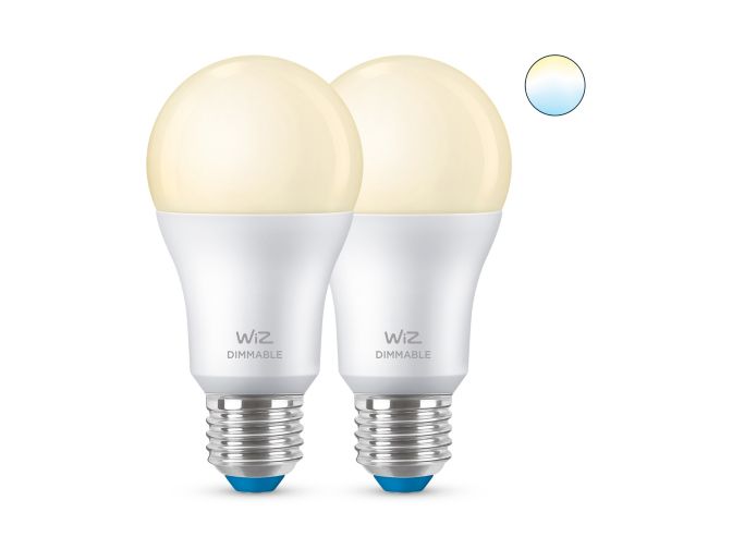 main.alt.text.RTP.LED-lamp Lamp A60 E27 x2