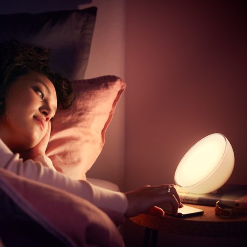Philips　Hue　Go Philips HUE Philips Hue Go Portable Table Lamp | The Home