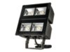 NFFLD-L-C100-T