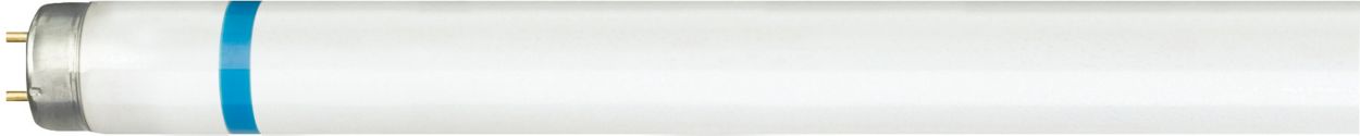 Shatterfree fluorescent lighting