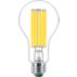 DEL Ampoule