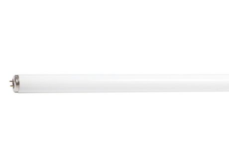 F15T12/SOFT WHITE/18 6pk