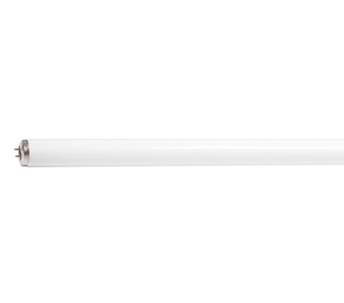 F15T12/SOFT WHITE/18 6pk