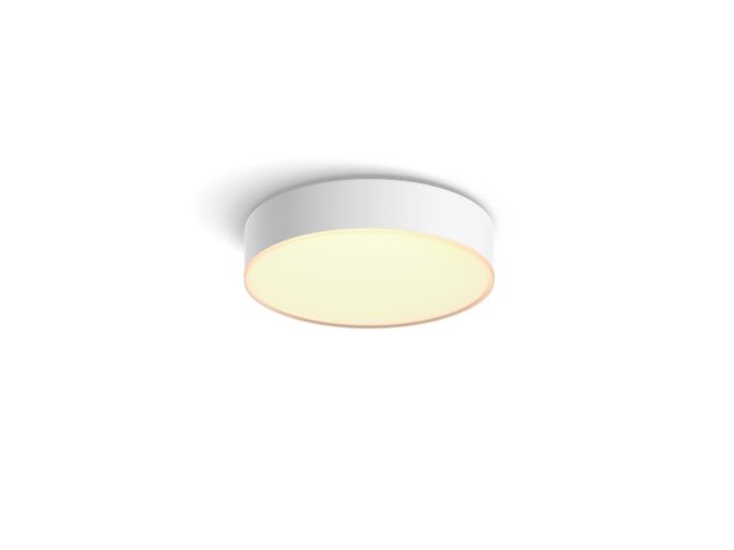 Close up of front of Enrave small ceiling lamp