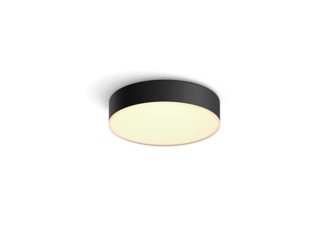 Close up of front of Enrave small ceiling lamp