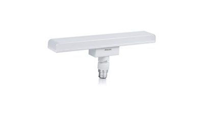 LED LED T-Bulb 30w CW B22