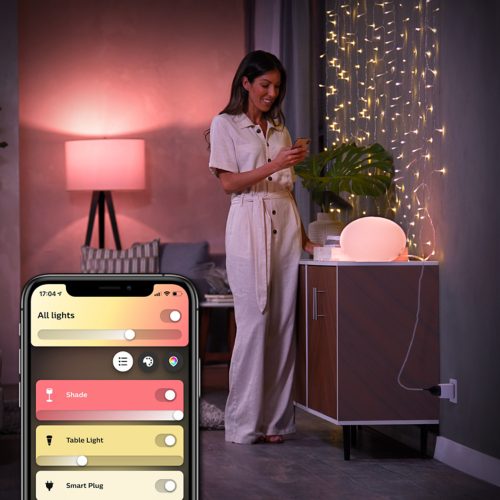 Hue Smart plug