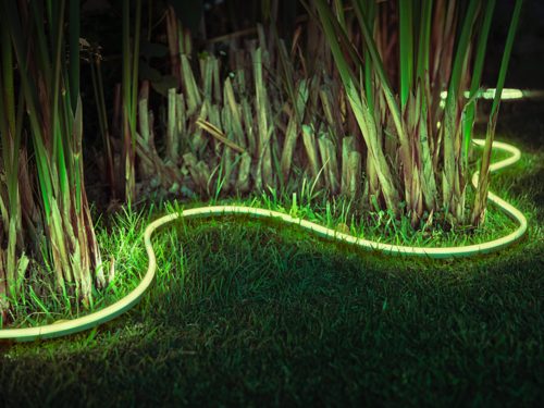 Flexible outdoor light strip emitting green illumination, placed on grass beside tall plants, highlighting garden edges.