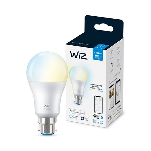 AMPOULE MODERNE Ampoule 60W A60 B22