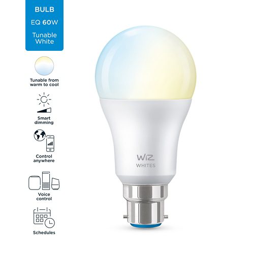 AMPOULE MODERNE Ampoule 60W A60 B22