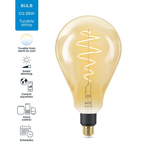 FILAMENT BULB Filamentlamp gouden coating 25 W PS160 E27