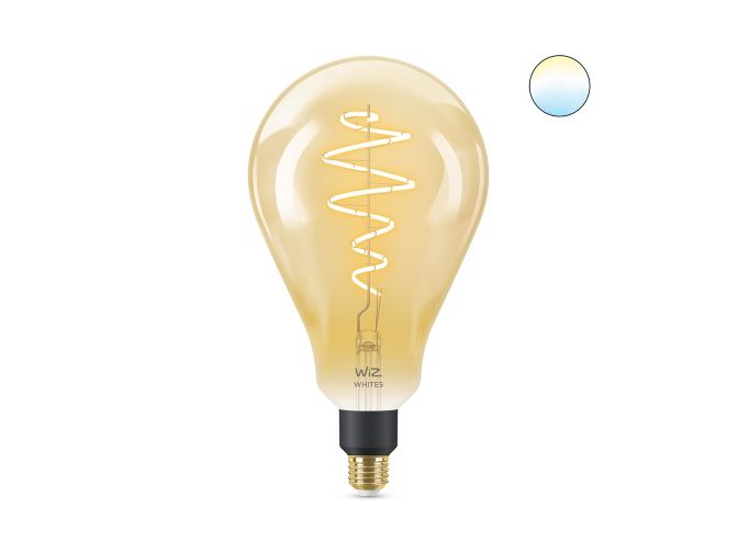 main.alt.text.RTP.Filament ambre PS160 E27