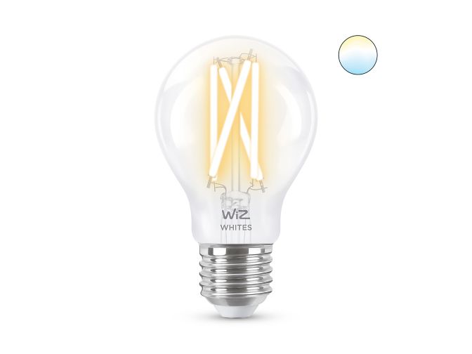 main.alt.text.RTP.Filament transparent A60 E27