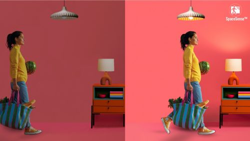 Accessory Smart Plug