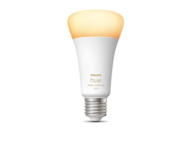 An image of product of the A67 - E27 / ES smart bulb - 1600 lumens