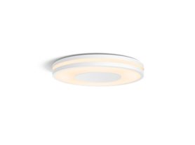 Being ceiling light white
