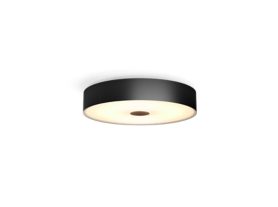 Fair ceiling light
