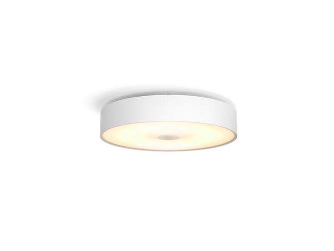 Close up of front of Fair ceiling light