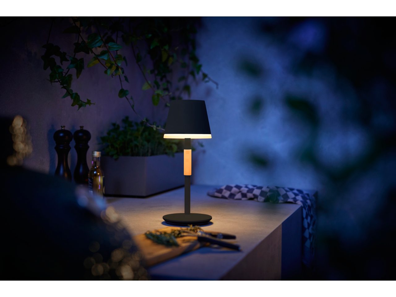 Hue Go Portable Table Lamp Special Edition Black | Philips Hue UK