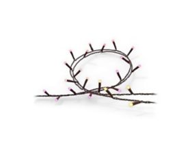 Guirlandes lumineuses Festavia