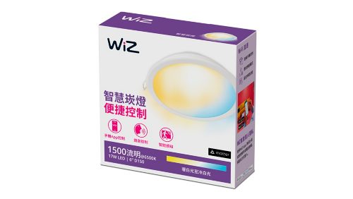 嵌燈 6 吋內嵌式下照燈 17W
