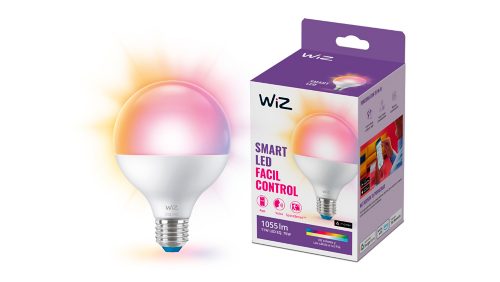 FOCO MODERNO Globo de 75 W G95 E27