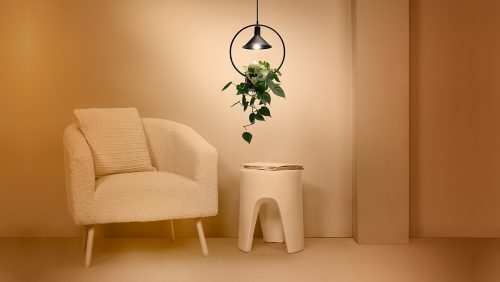 Filament pære Filament klar 60 W A60 E27