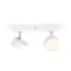 Faretti da soffitto/parete Faretto a soffitto/parete Bracia 2x